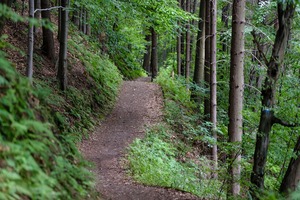 Courir un Ultra-Trail: comprendre les allures du coureur et leur potentiel 2 Courir un Ultra-Trail: comprendre les allures du coureur et leur potentiel