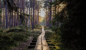 Courir un Ultra-Trail: comprendre les allures du coureur et leur potentiel 1 Courir un Ultra-Trail: comprendre les allures du coureur et leur potentiel